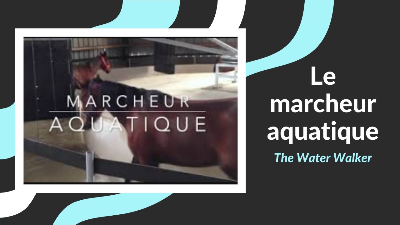 HIPPOCENTER | Marcheur aquatique pour chevaux / Aquatic Walker for horses