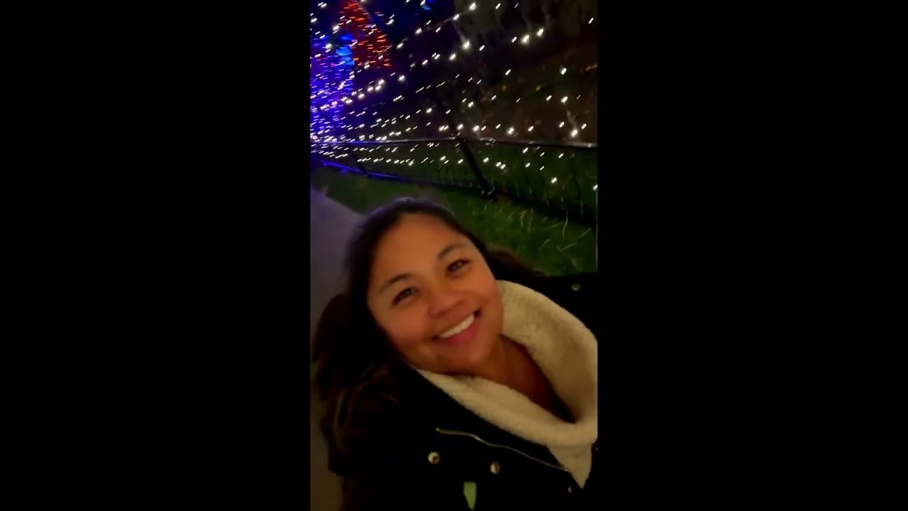 Christmas Lights (Nisha's Vlog 2025)