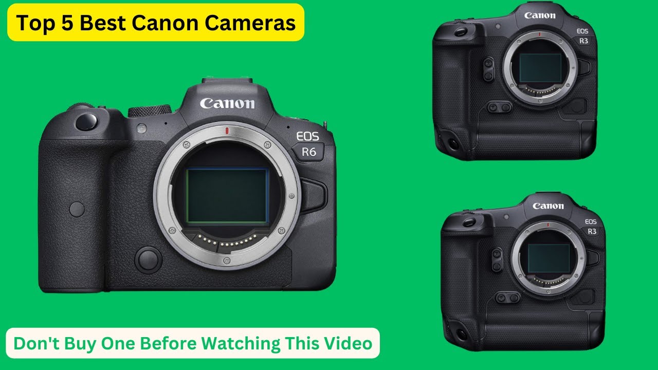 Best Canon Cameras 2024 (Top 5 Models for Stunning Photography)