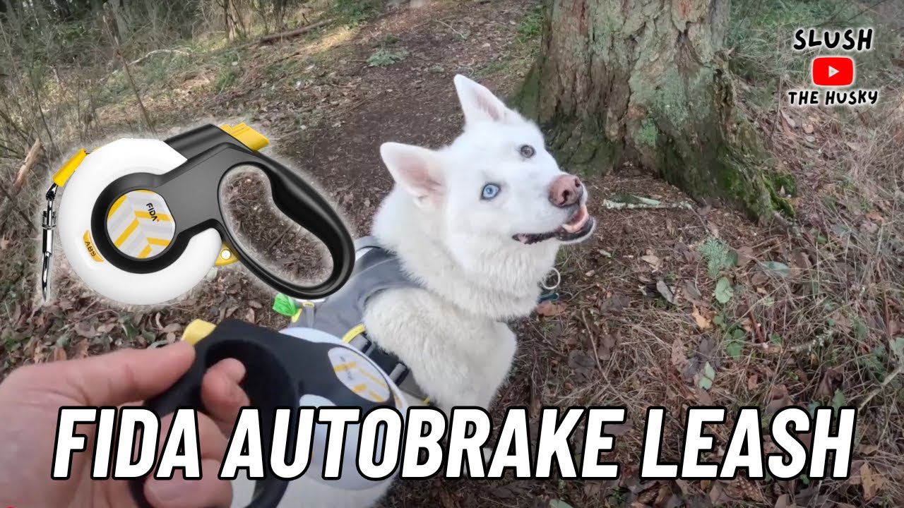 FIDA AutoBrake Retractable Dog Leash Review