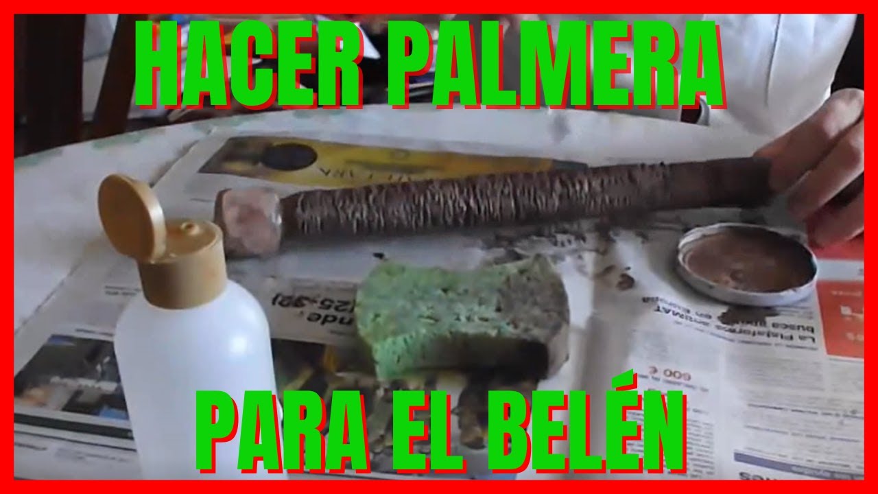 🌴 Palmera para Nacimiento o Belen