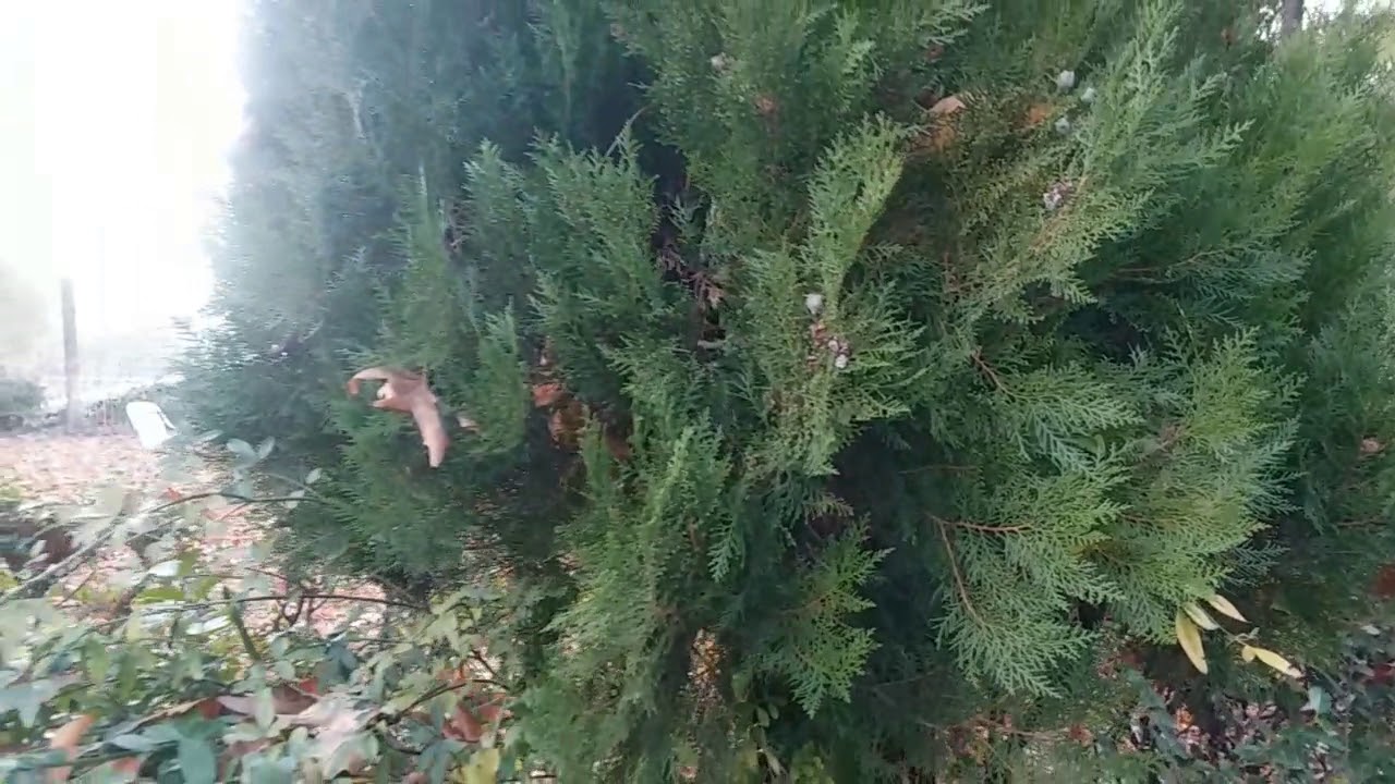 Maindam ke khubsurat nazary aur pihliye barafbari