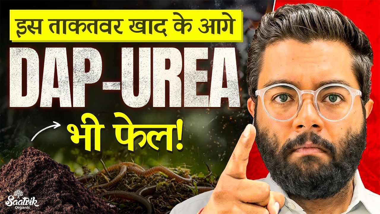 5 Bio Fertilizers That Can Replace DAP–Urea in Organic Farming | Complete Guide