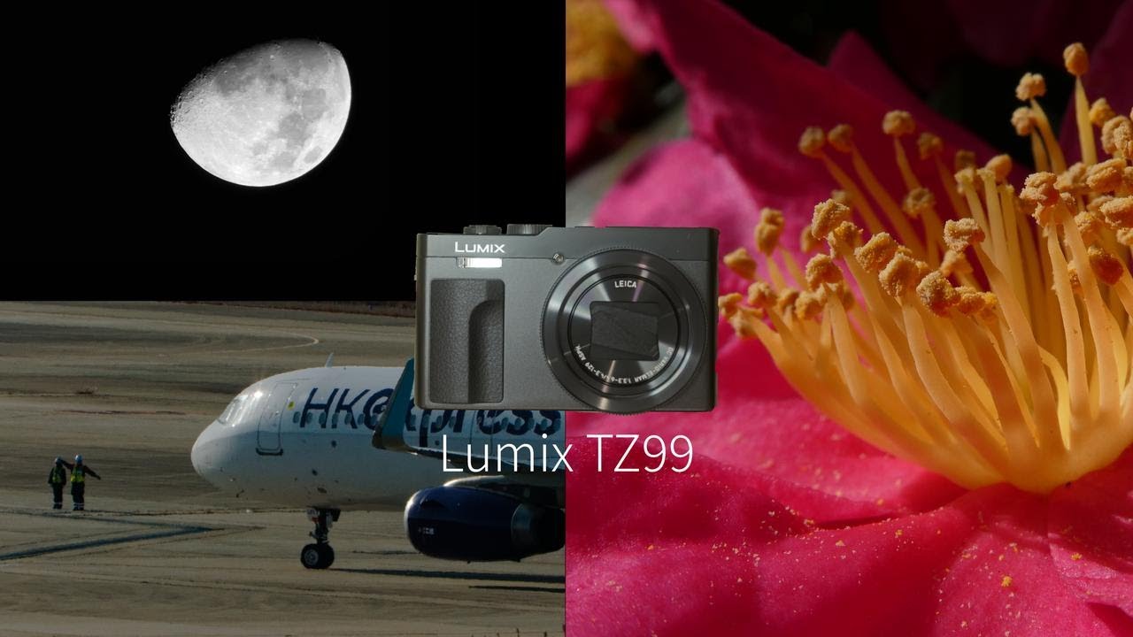 ３０日間毎日使ってわかったLumix TZ99の良いところ　悪いところ｜高倍率ズームコンデジが最高に楽しい