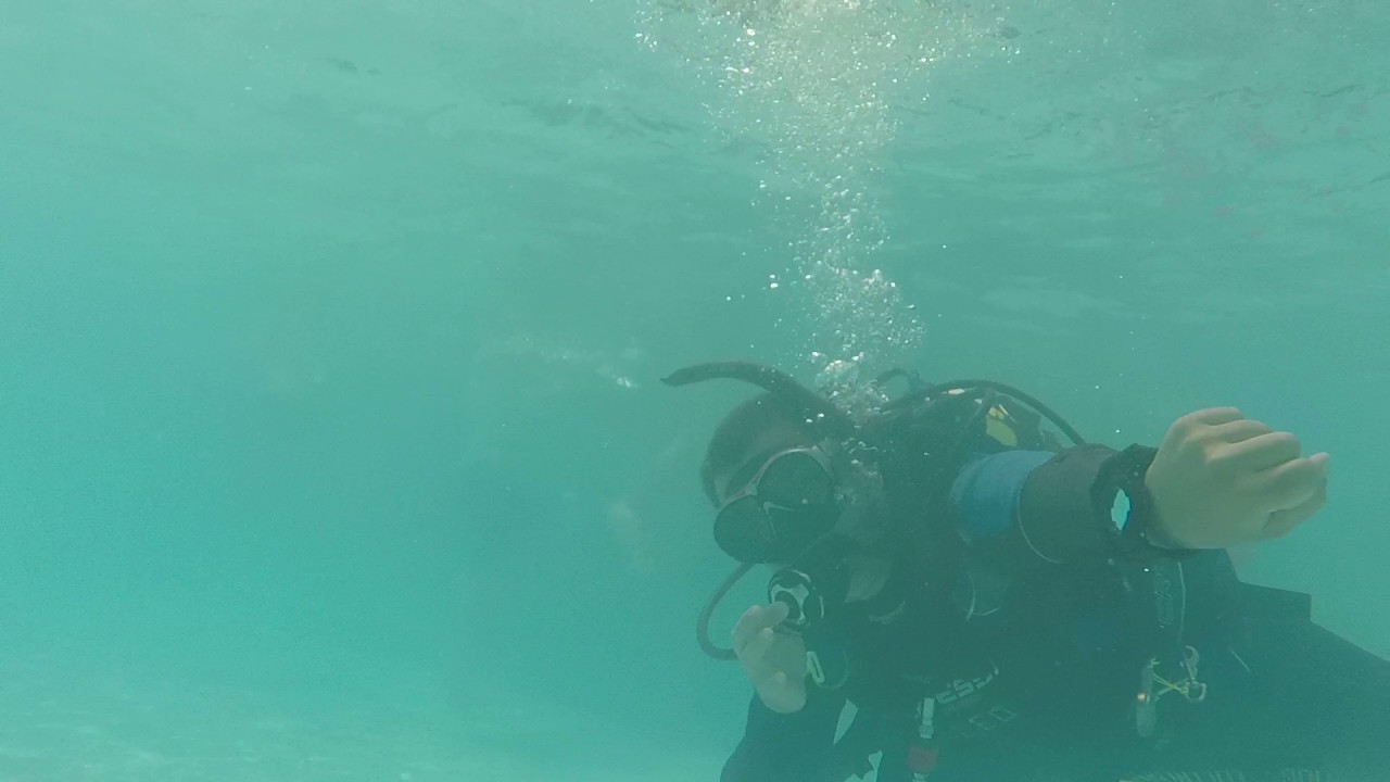 OWD Course - CW#4  skill - Free-flow regulator 30 seconds