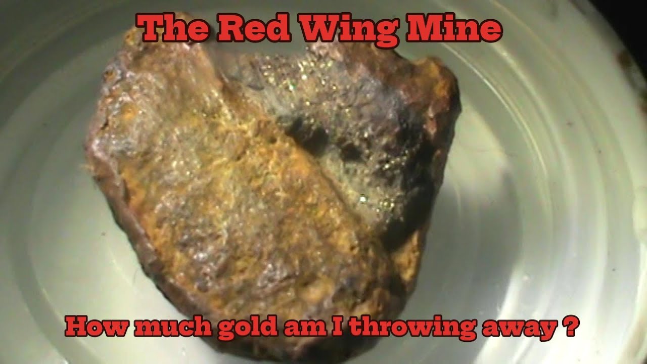 The Red Wing Mine, how much gold am I throwing away?