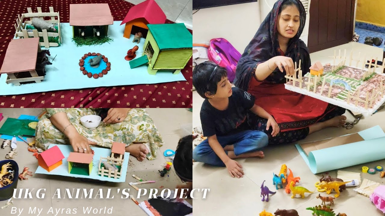 School Project Reuse methodla Just 40rs🤗 | Animals and their homes project |Dailyvlog |myayrasworld