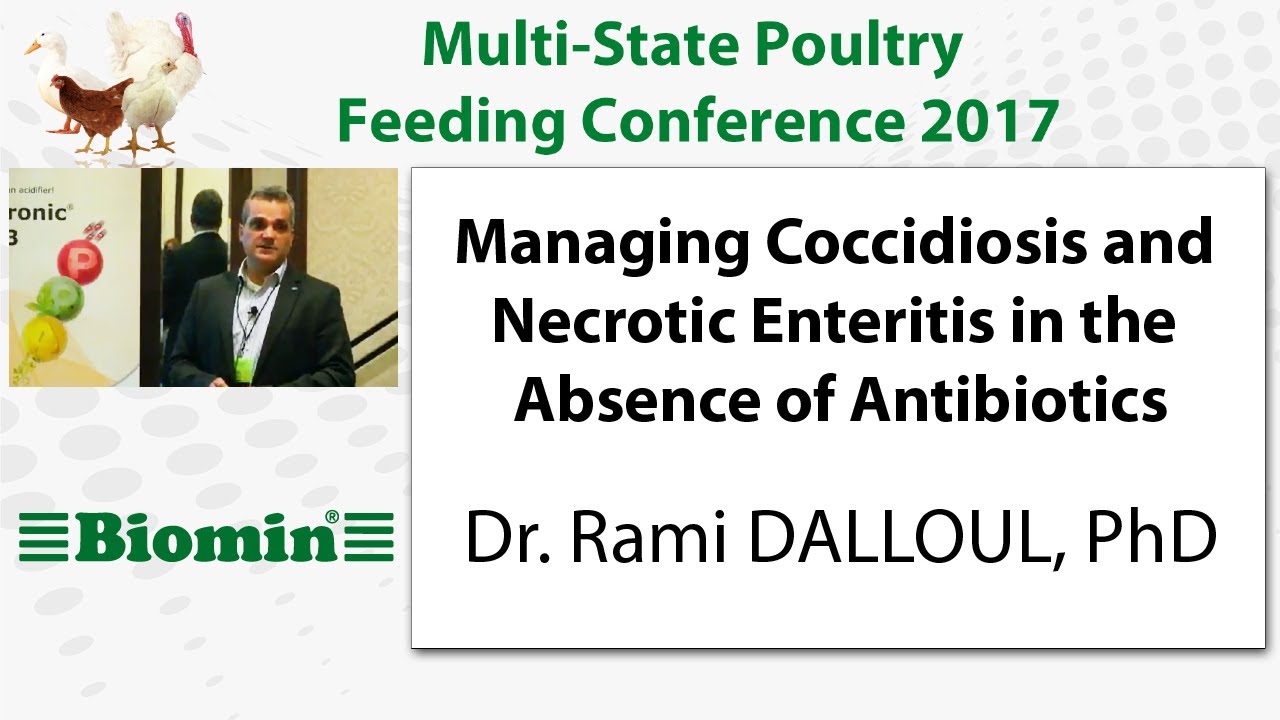Managing Coccidiosis and Necrotic Enteritis in the Absence of Antibiotics