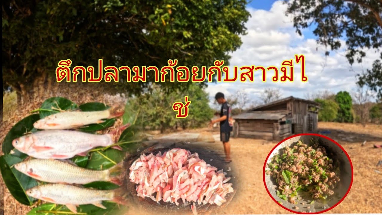 ออกนาหาตึกปลากับสาวมีไช่18 กุมภาพันธ์ ค.ศ. 2026