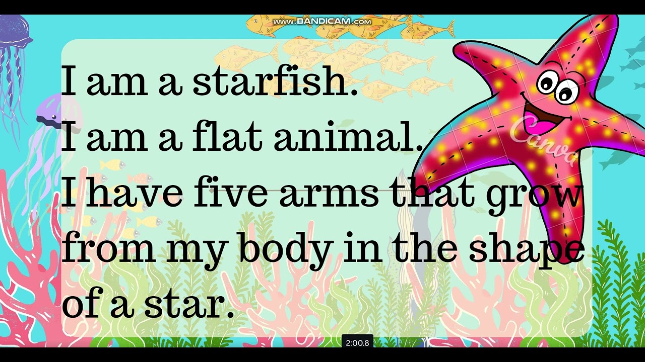 KIDS READING| IN THE OCEAN SENTENCES | 1 GRADES | PRACTICE AT HOME | BASIC ENGLISH | KIDSDICTIONARY