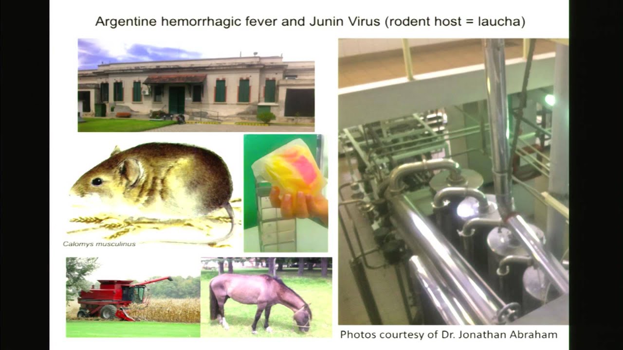Dr. Sara Sawyer - Species Barriers: What Keeps Animal Viruses from Infecting Humans?