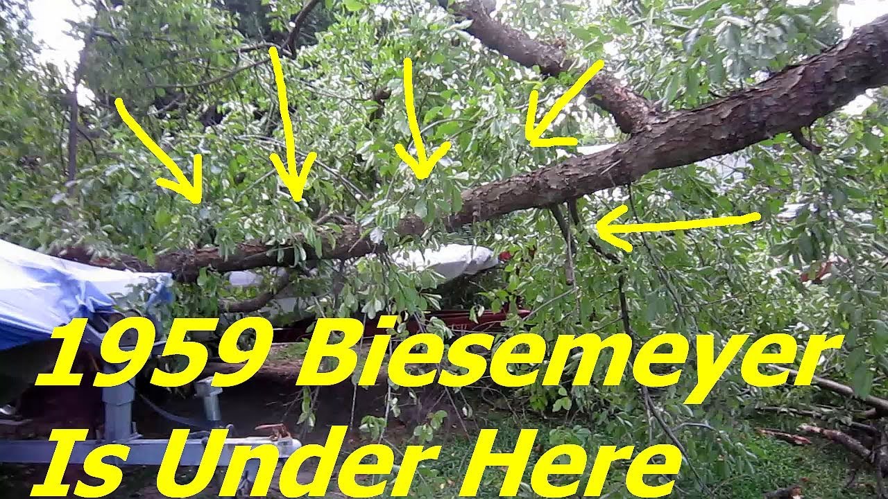A Tree Fell On My 1959 Biesemeyer