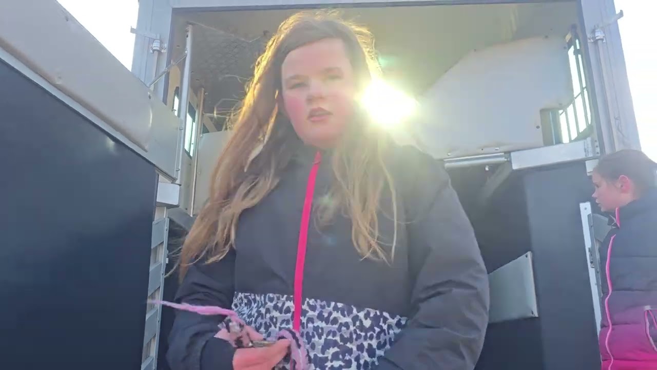 Met 3 pony´s vrachtwagen laden oefenen.