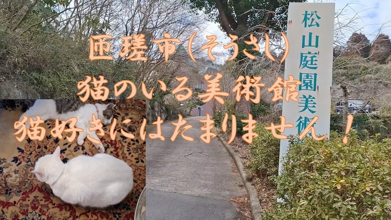 猫も迎えてくれる美術館！松山庭園美術館（匝瑳市・そうさし）田んぼの中の小高い丘に佇む素敵な美術館！2026.2.13撮影