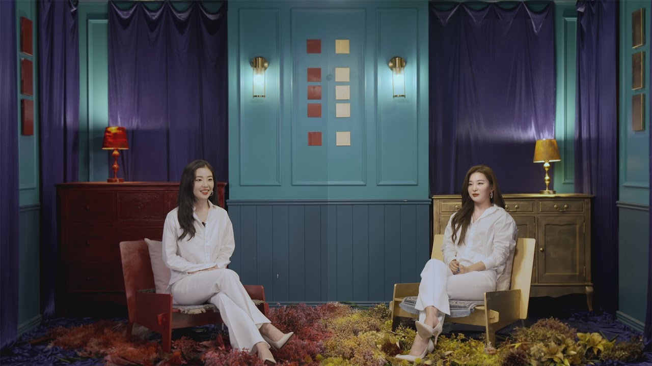 그림자 인터뷰 | 슬기와 슬기를 인터뷰 했다 (SEULGI & SEULGI were Interviewed)