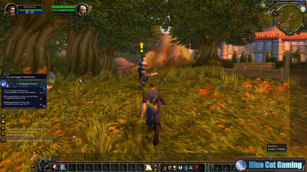 World of Warcraft Burning Crusade Classic Ultra-Fast Levelling Guide RestedXP Paladin 1-10 Compare