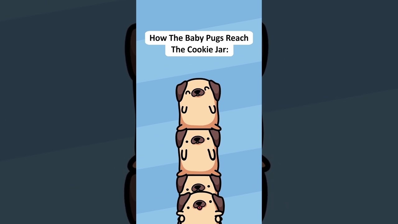 How The Baby Pugs Reach The Cookie Jar (Original Animation Meme) 