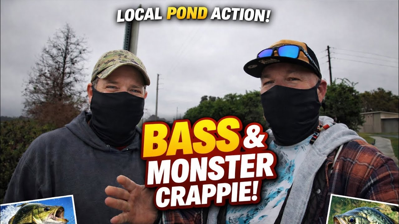 Local Pond Fishing Gone Crazy! Bass & Monster Crappie