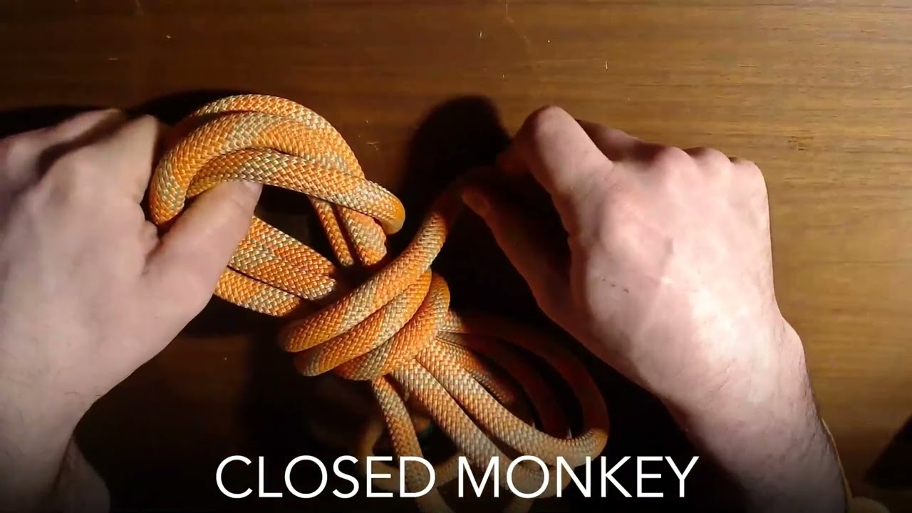 CLOSED MONKEY