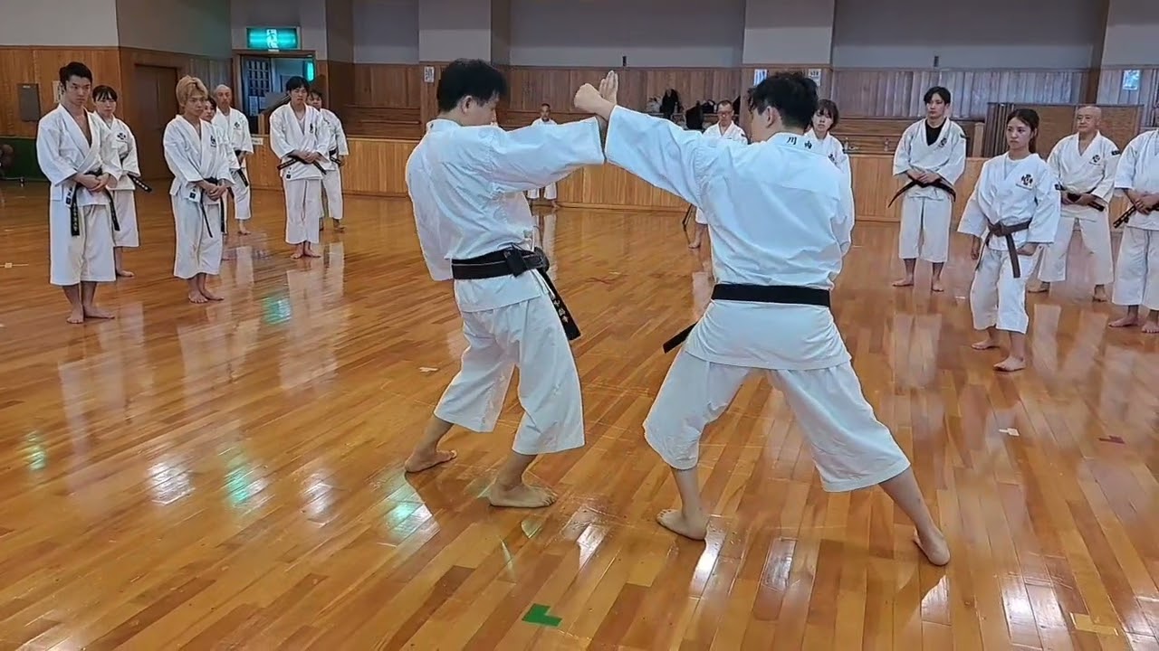 少林寺拳法　関西実業団・関西学生連盟合同練習会　模様　天地拳第一系相対のポイント