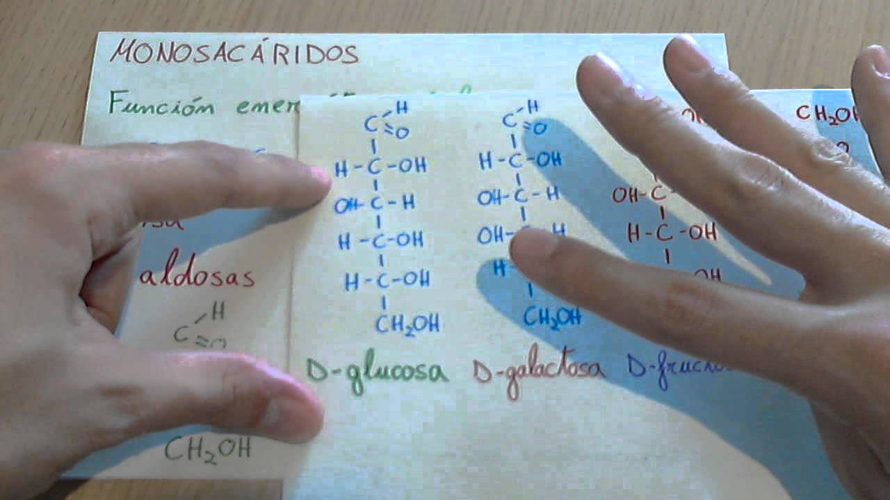 Monosac&aacute;ridos o gl&uacute;cidos simples