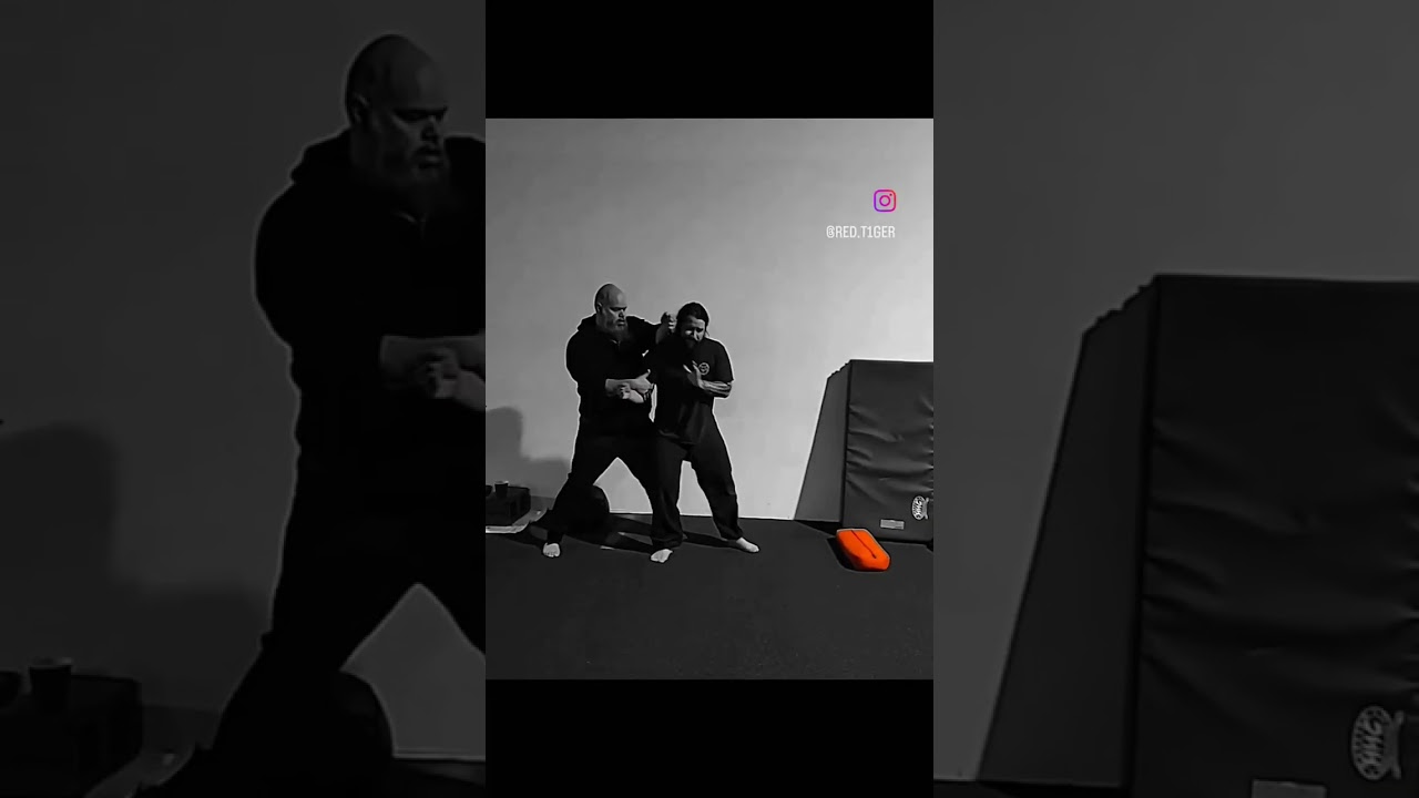 Kung Fu Techniques