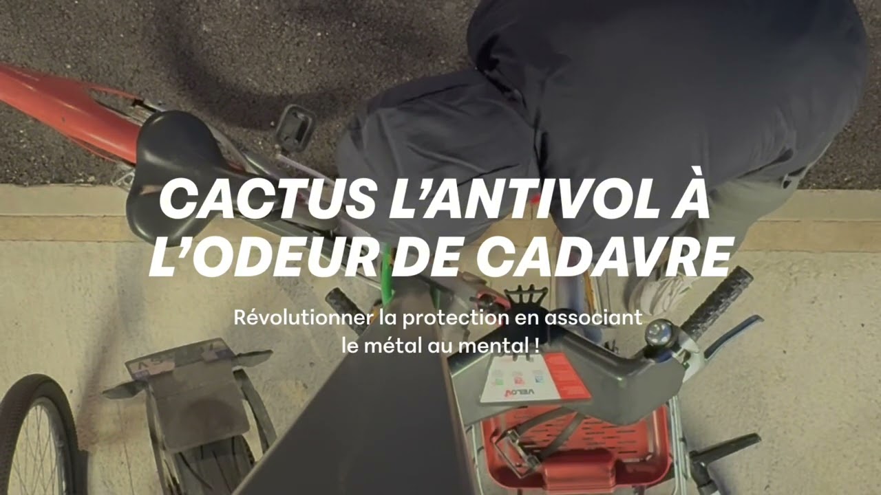 CACTUS L'ANTIVOL À L'ODEUR DE CADAVRE