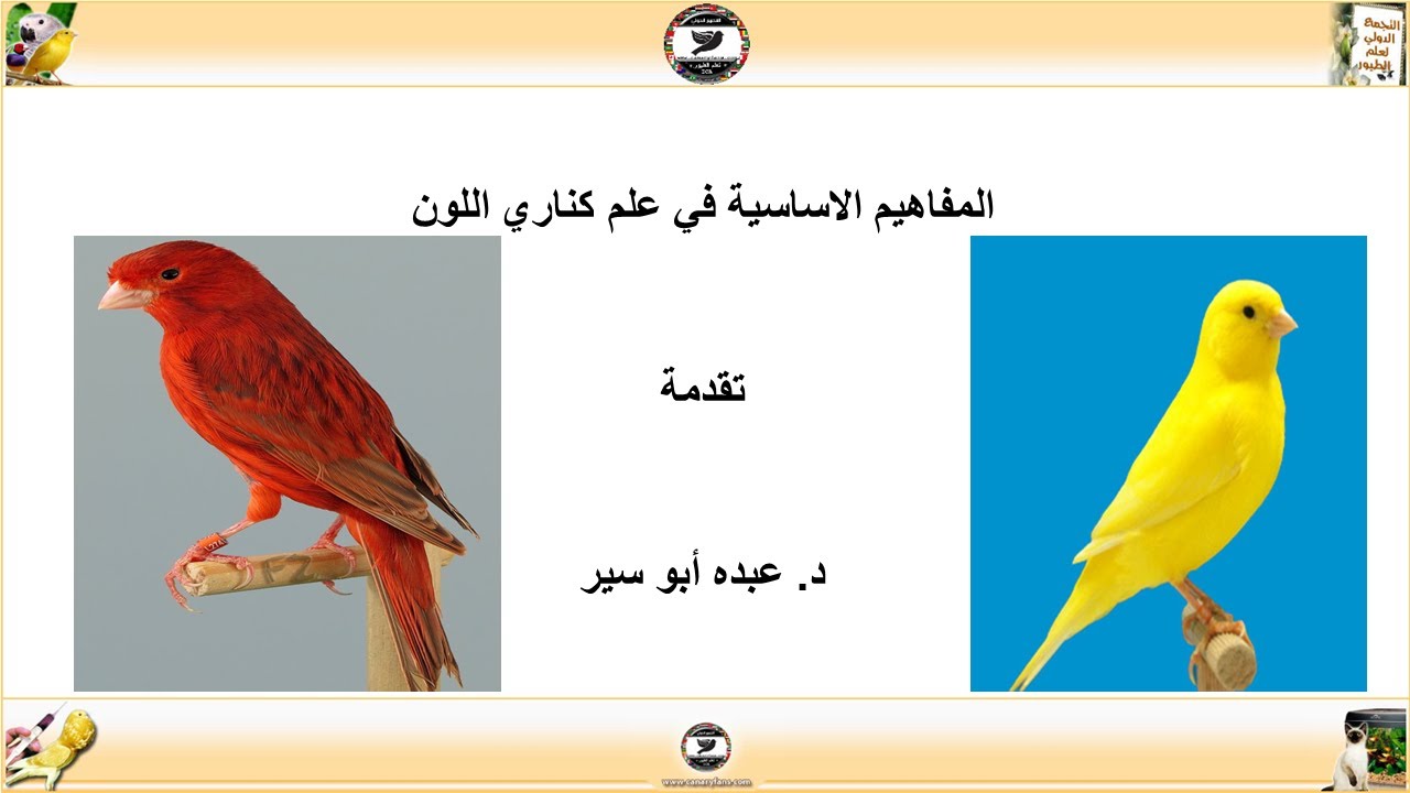 محاضرة بعنوان المفاهبم الأساسية في علم كناري اللون تقدمة د. عبده أبو سير بتاريخ 7/1/2022