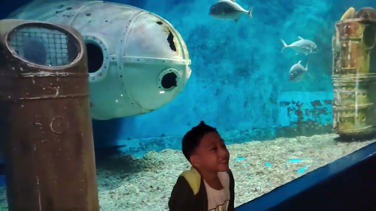 Manila Ocean Park and Philippine Biodome Part 2