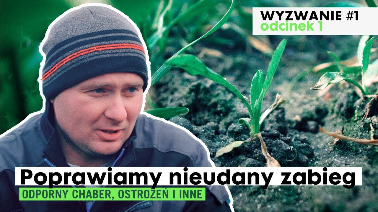 Spos&oacute;b na odpornego chabra? | Wyzwanie Nufarm #1 (odc. 1)