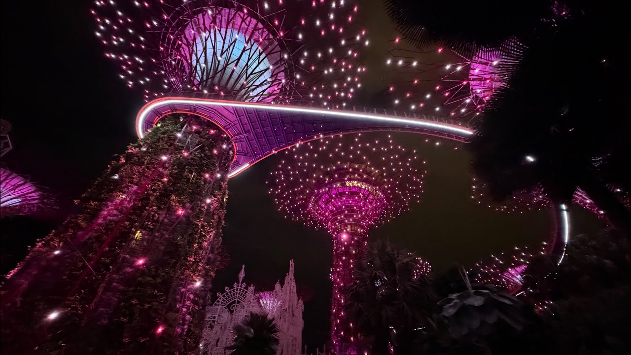 Gardens by the Bay BLACKPINK Light Show! 🖤 🩷 