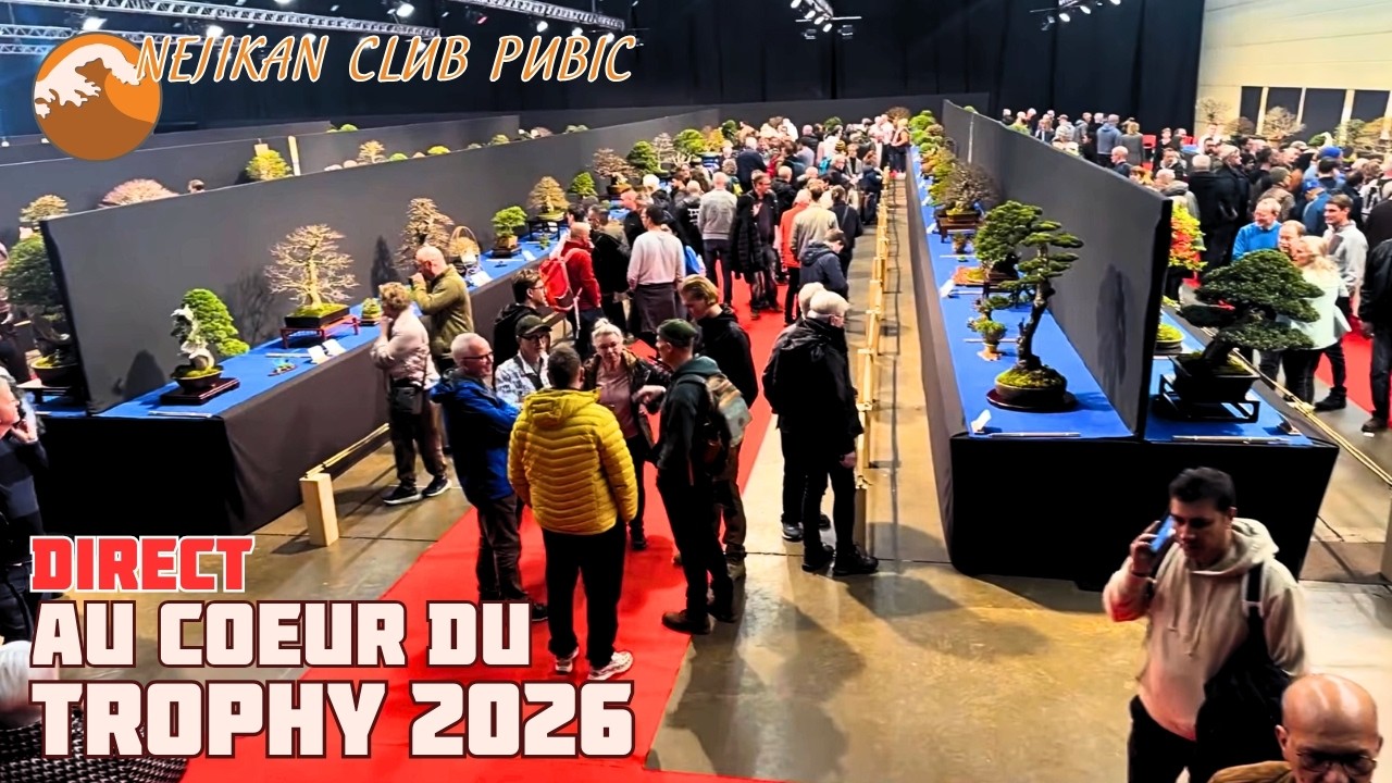 TROPHY 2026 Ambiance de l’Exposition et du Marché du Bonsai  🟢 NEJIKAN CLUB PUBLIC 🟢