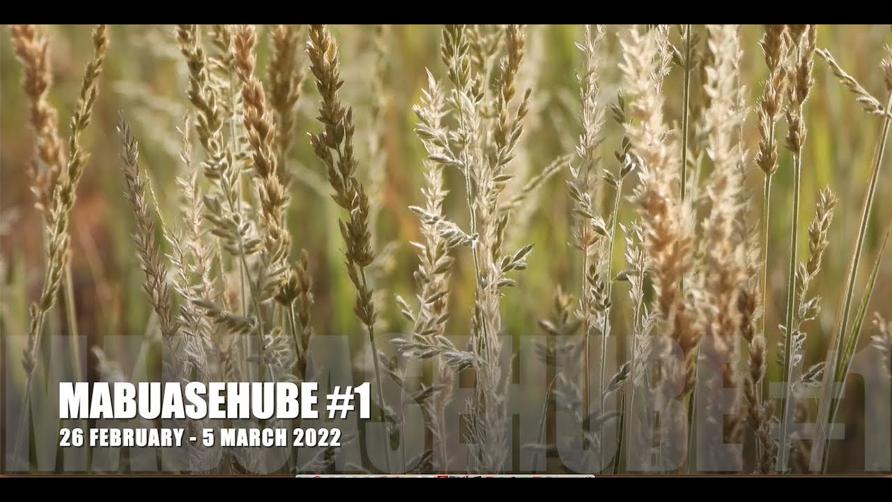 Desert Dream #1 - Mabuasehube 2022