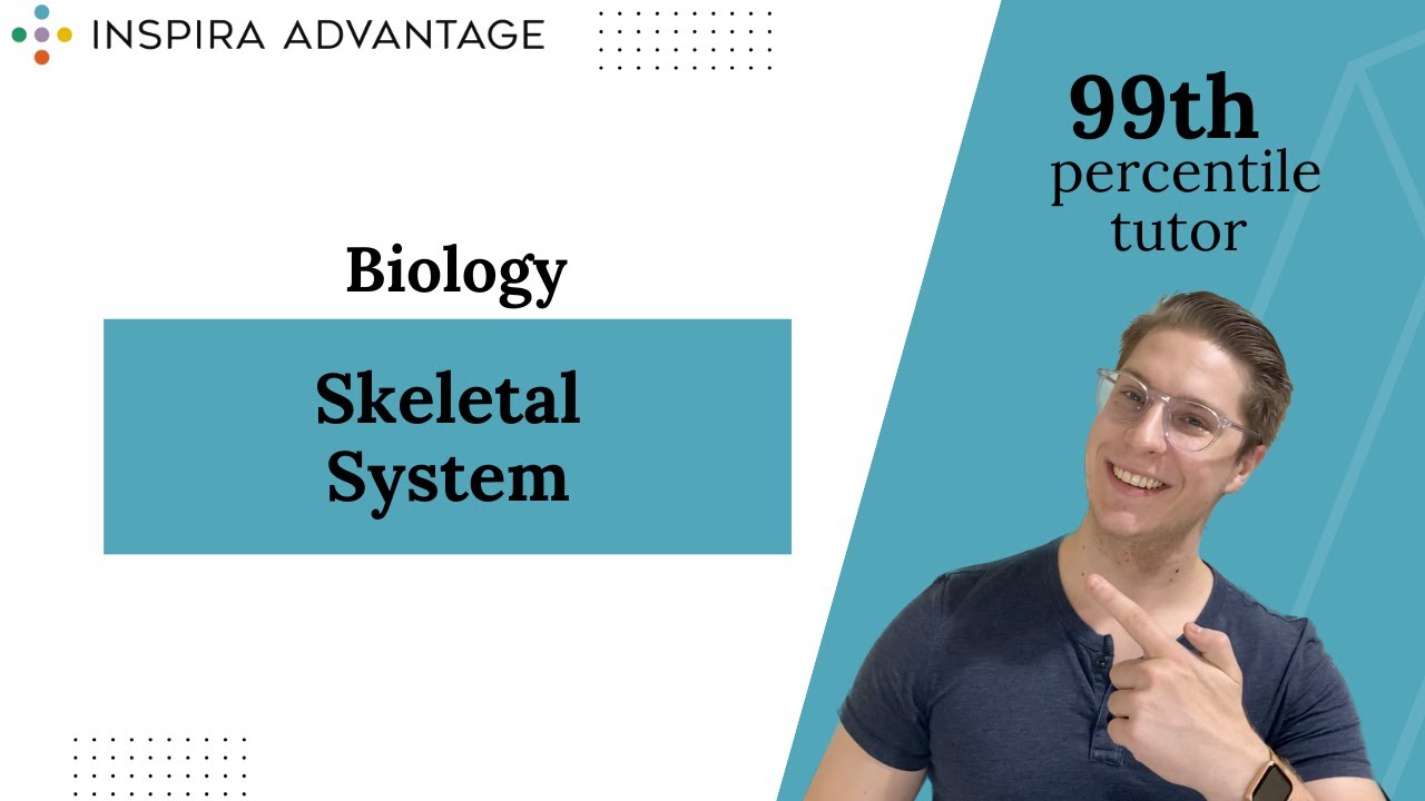 Biology: Skeletal System | MCAT Crash Course