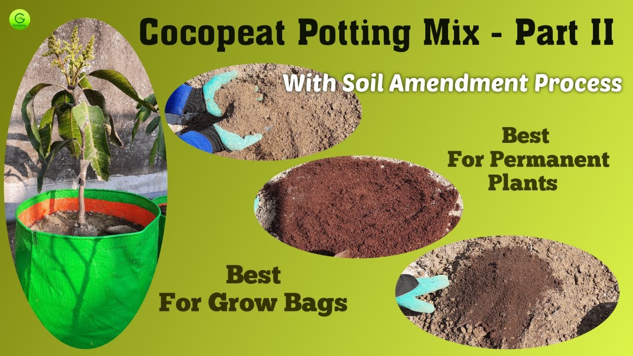 Cocopeat Potting Mix  I Soil for Plants I Potting Mix I How to Make Best Soil for Plants