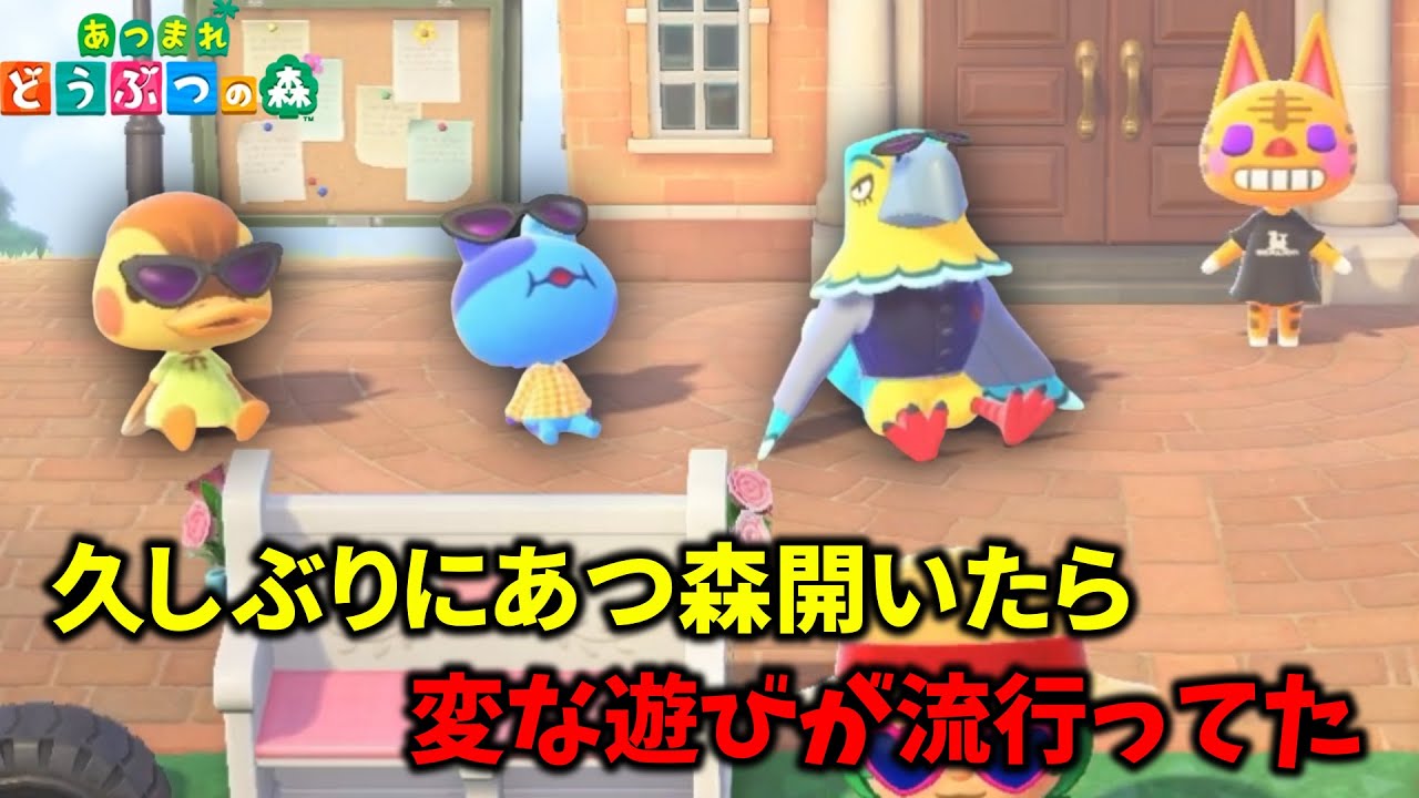 一か月ぶりにあつ森やったら変な宗教広まってた。【あつまれ どうぶつの森】実況