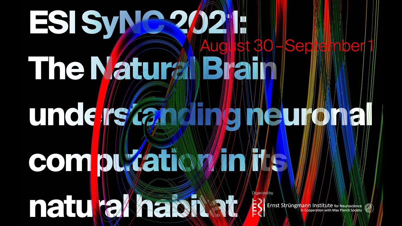 Benjamin Hayden: Naturalistic decision-making | ESISyNC2021
