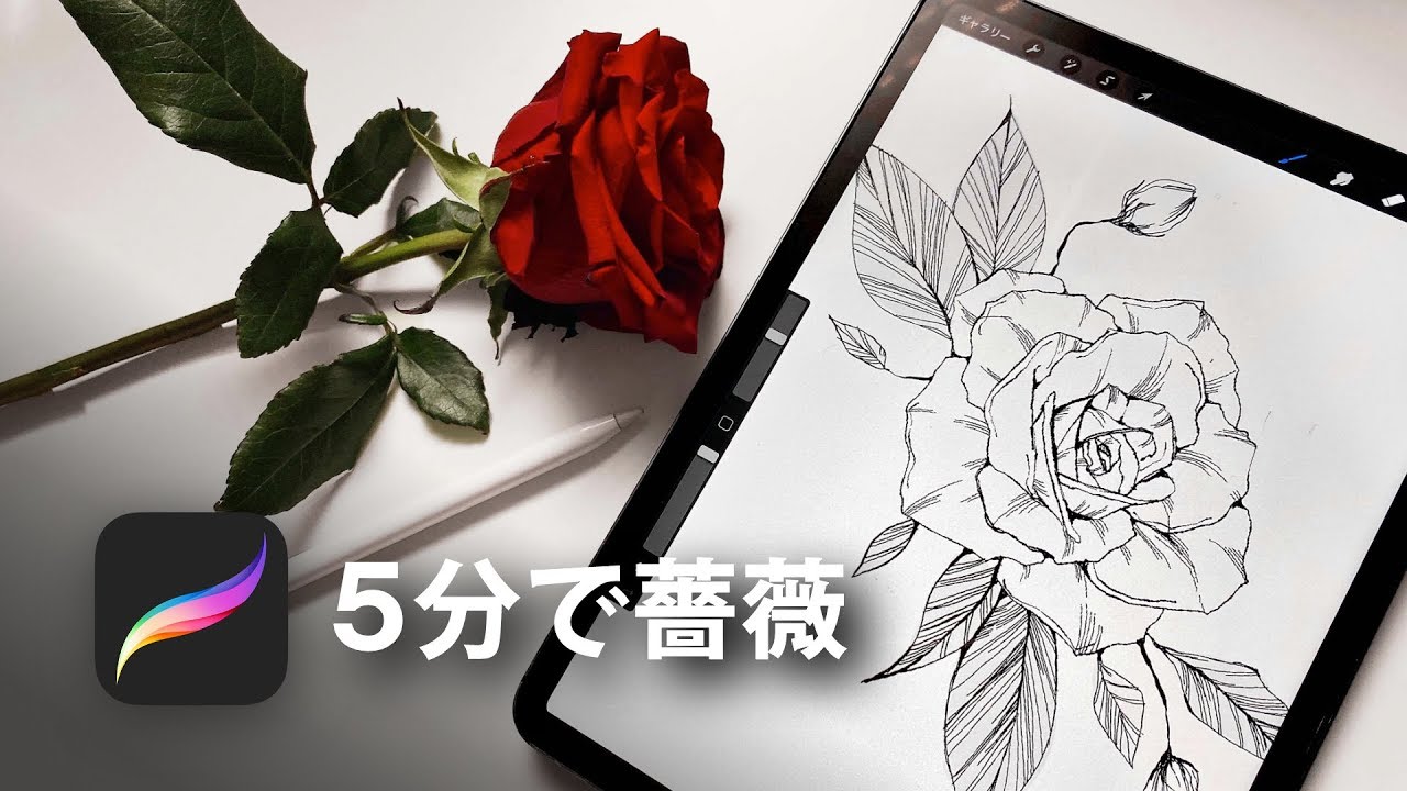 5分でリアルな薔薇を描く方法！【iPad 使い方】