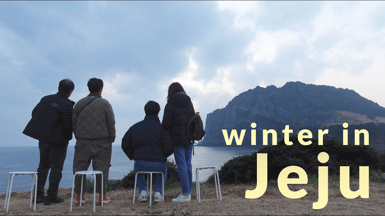 3 days trip to Jeju 🌺 unique cafes, blooming camellias & new year's sunrise