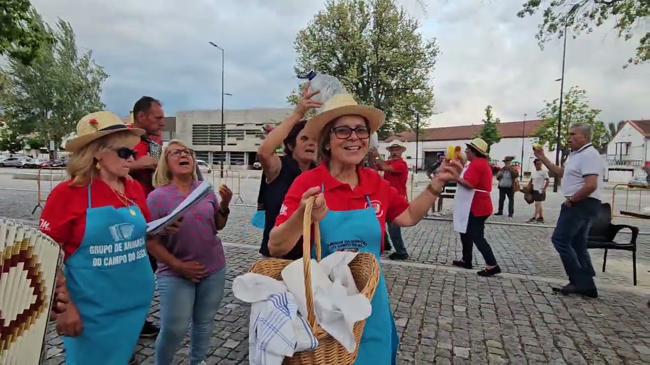 JR & CONCERTINAS DE CABECEIRAS DE BASTO, CAMPO SECO N15