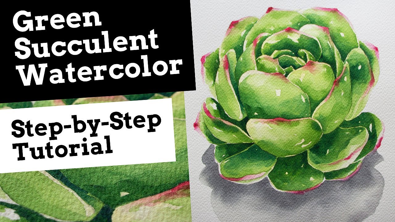 Watercolor Painting Step by Step Tutorial Green Succulent