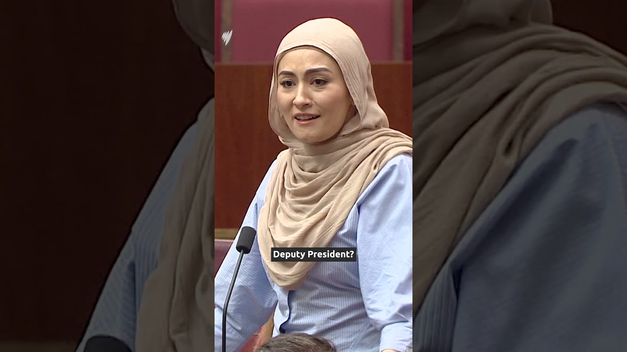 Pauline Hanson criticised in Senate after wearing burqa again