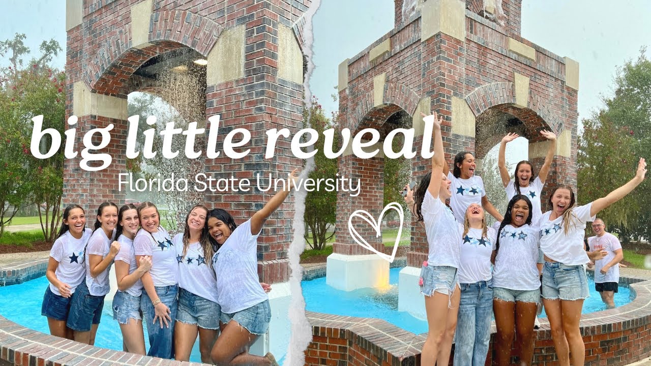 BIG LITTLE REVEAL