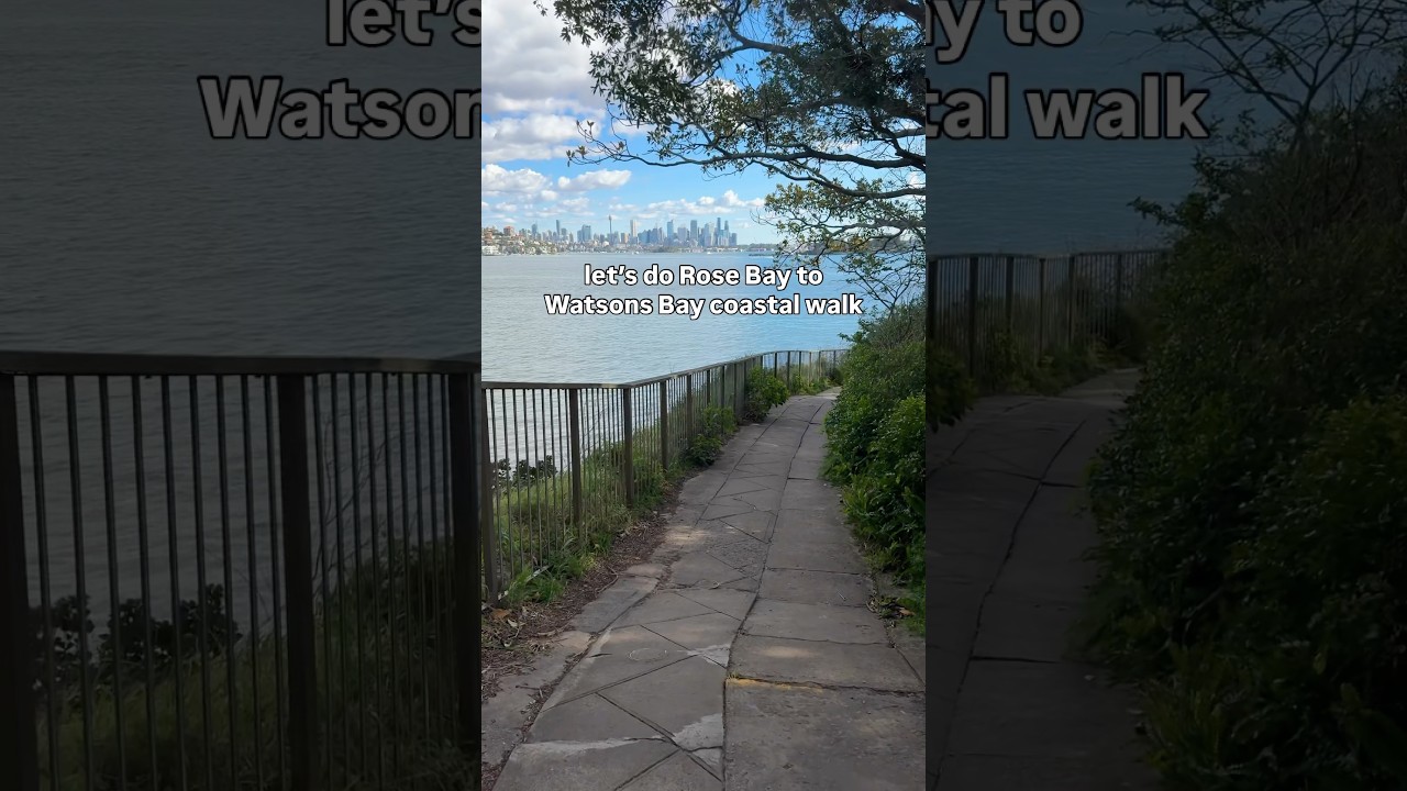 #coastalwalks #sydney #rosebay  #hermitageforeshorewalk #australia #sydneyaustralia #shorts #fyp