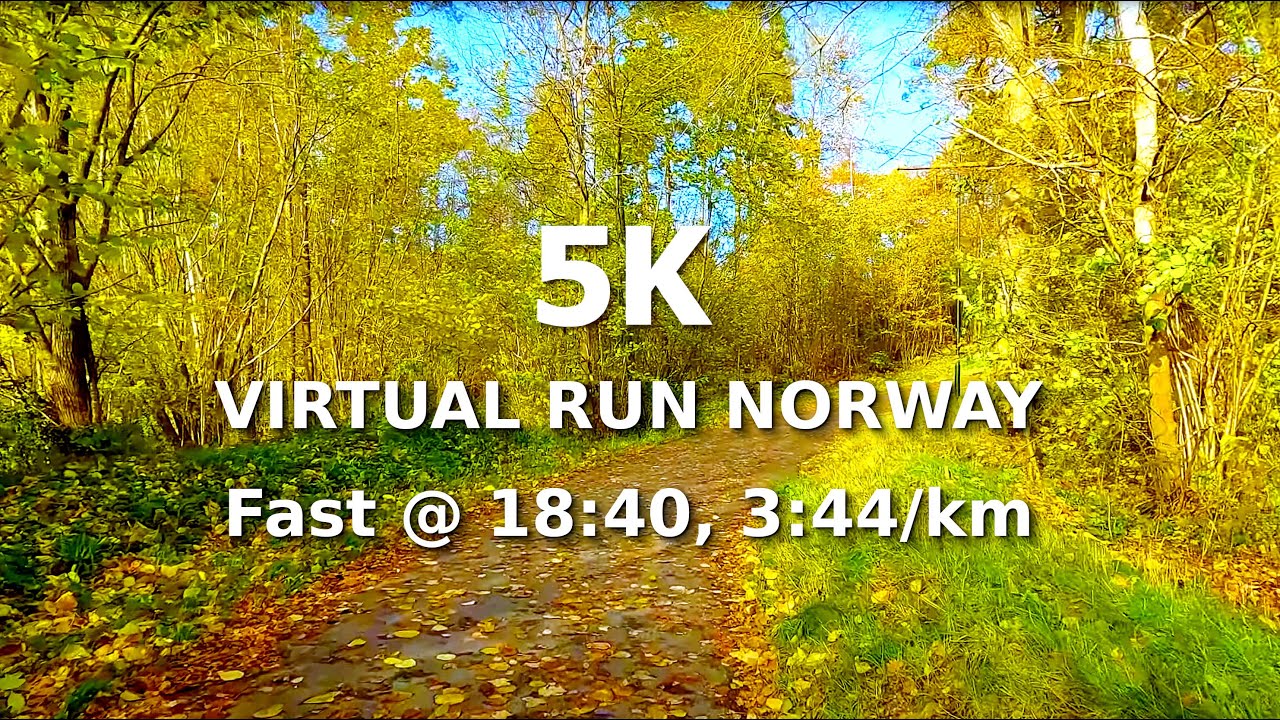 Virtual Run - Nøtterøy Norway - 5K High Intensity - Windy Autumn - Sunshine - Treadmill Workout