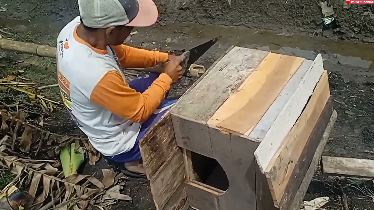 Proses pemasangan rumah burung hantu
