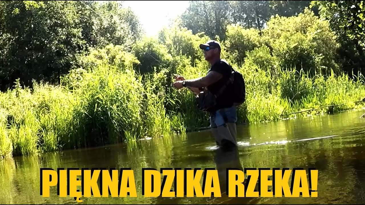Letnie klenie z powierzchni