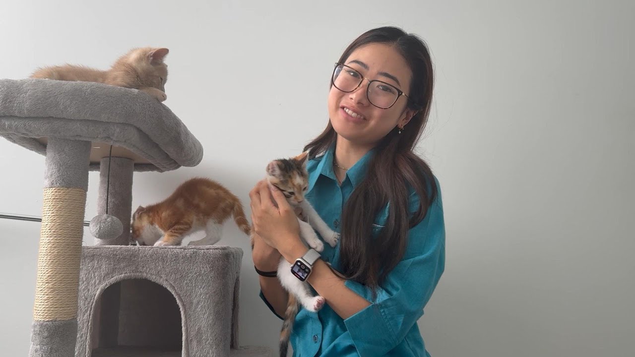 Staff Intro - Dr Mika Kurashige - Veterinarian
