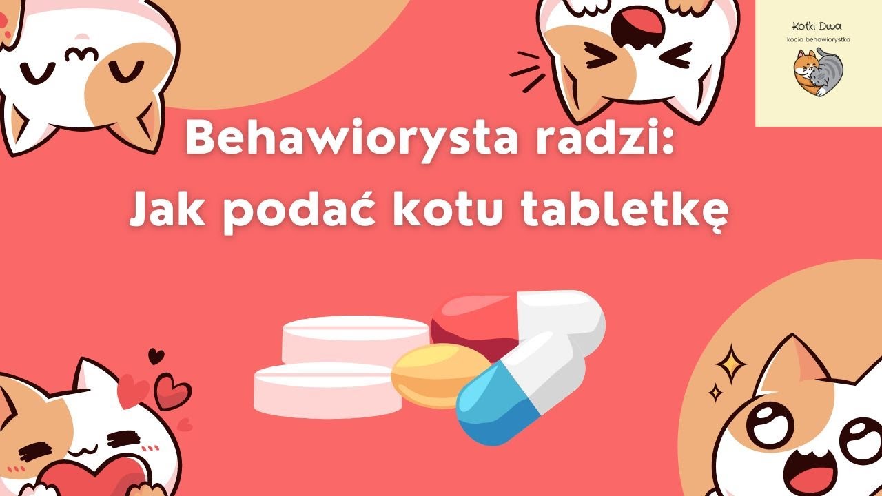 Jak podać kotu tabletkę (sprytnie i bez stresu)?