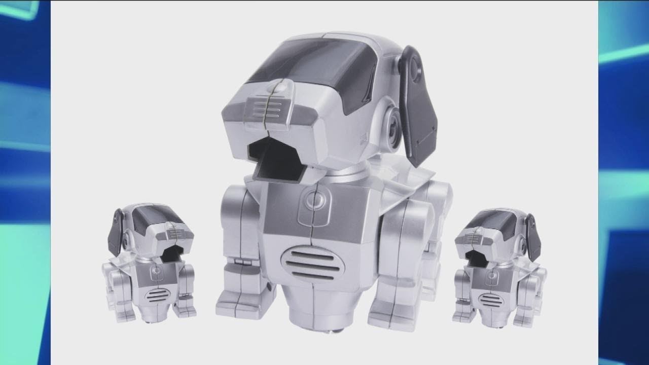 Should Robot Dogs Get Funerals?